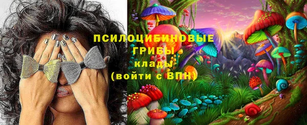 метамфетамин Алексеевка