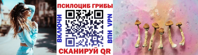 Псилоцибиновые грибы GOLDEN TEACHER Северская