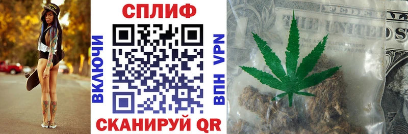 купить наркотики цена  МЕГА зеркало  Каннабис планчик  Северская 